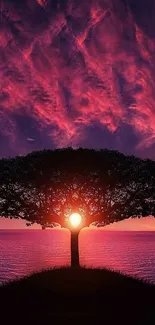 Majestic tree silhouette against a vibrant purplish-red sunset sky.