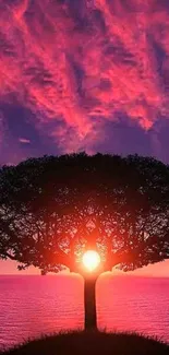 Majestic tree silhouette against vibrant sunset sky over ocean.