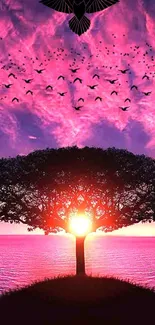 Beautiful sunset with tree silhouette and birds in a pink sky.