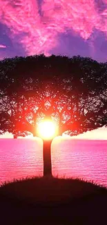 Beautiful tree silhouette at sunset with pink and purple sky.