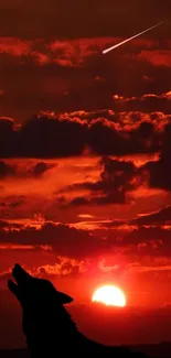 Silhouette of a wolf howling at a fiery red sunset sky.