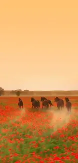 Wild horses running through a sunset field of flowers.
