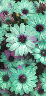 Vibrant teal flowers with purple accents.