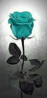 A striking teal rose with dark leaves in a minimalist wallpaper design.