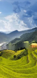 Terraced rice fields with mountains under a blue sky.