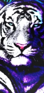 Colorful tiger with vibrant purple hues.