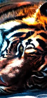 Close-up of a vibrant tiger with intricate stripes and piercing eyes.