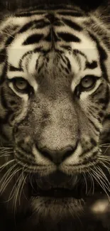 Close-up of a majestic tiger in sepia tones for mobile wallpaper.