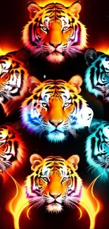 Vibrant tiger heads surrounded by fiery flames.