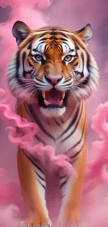 Tiger surrounded by pink mist mobile wallpaper.