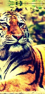 Majestic tiger in forest wallpaper for mobile phones.