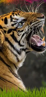 Side view of a roaring tiger with vibrant colors and green grass in the foreground.