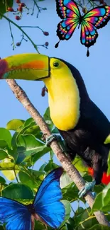 Colorful toucan with butterflies on green leaves.