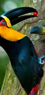 Two vibrant toucans perched on a tree with colorful plumage.