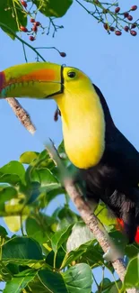 Vibrant toucan perched in lush green foliage under a clear blue sky.