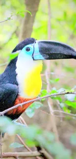 A vibrant toucan sits amidst lush greenery, showcasing vivid colors.