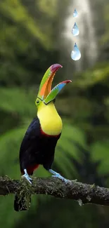 Toucan perched with water droplets in a lush jungle setting.