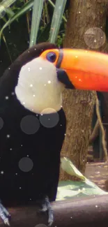 Vibrant toucan with orange beak in a jungle setting.