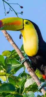 Vibrant toucan perched on a jungle branch with lush green leaves.