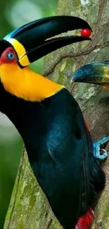 Vibrant toucan sitting on a tree against a green background.