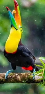 Vibrantly colored toucan perched on a branch.