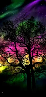 Silhouetted tree with vibrant Northern Lights.