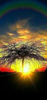 Silhouette of a tree with a vibrant sunset rainbow sky.