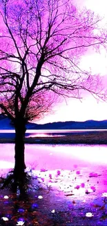 Tree silhouetted against a vibrant purple sunset over a lake.