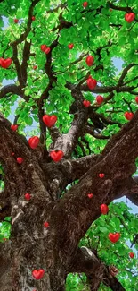 Vibrant tree canopy with lush green leaves and bright sky.