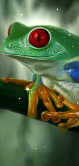 Vibrant green tree frog with red eyes on a jungle leaf.