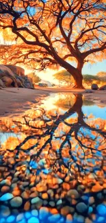 Artistic reflection of a tree at sunset with vibrant colors.