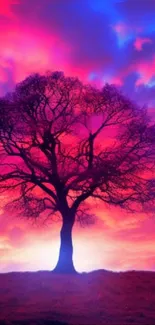 Silhouette of a tree against a vibrant purple and pink sunset sky.