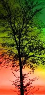 Vibrant gradient tree silhouette wallpaper with red, green, and yellow hues.