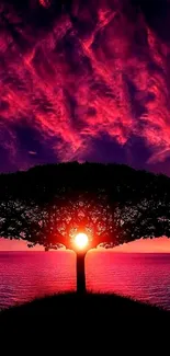 Vibrant sunset with tree silhouette, magenta sky.