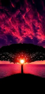 Vibrant sunset behind a tree with purple sky.