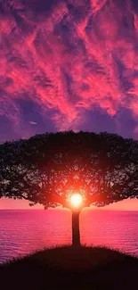 Tree silhouette with pink sunset sky over ocean.