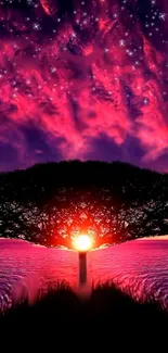 Vibrant tree sunset wallpaper with colorful sky and cosmic elements.