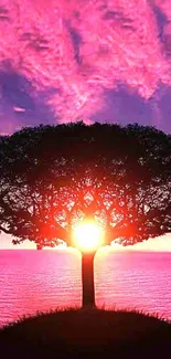 Mobile wallpaper of a pink sunset with a silhouetted tree.