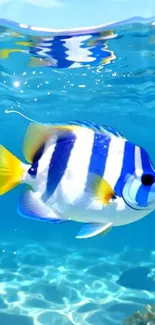 Vibrant tropical fish swimming underwater with crystal clear reflections.