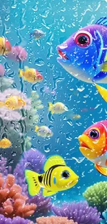 Colorful tropical fish swimming above vibrant coral reef.