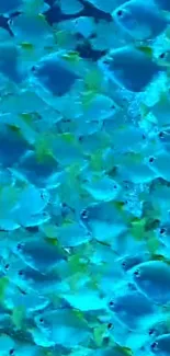 Vibrant blue tropical fish in an ocean scene wallpaper.