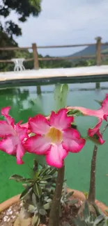 Pink tropical flowers against green water backdrop.