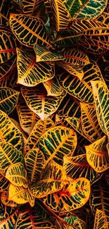 Colorful tropical leaf pattern wallpaper with orange and green hues.