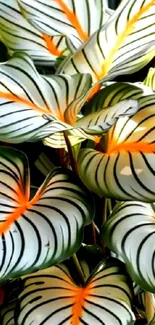 Tropical leaves with vibrant orange and green patterns.