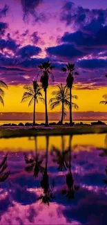 Tropical sunset with palm tree reflections in purple and orange hues.