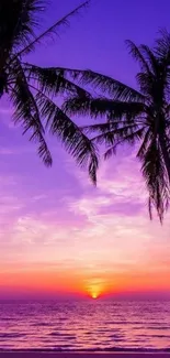 Tropical sunset with purple sky and palm trees.