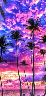 Vibrant tropical sunset with palm trees and colorful sky.