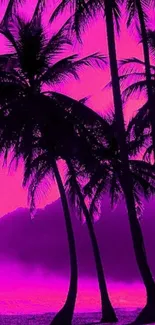 Palm trees silhouetted against a magenta sunset on a tropical beach.