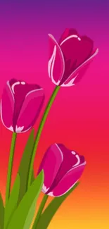 Vibrant magenta tulips with a sunset gradient background.