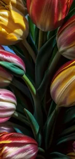 Colorful tulip bouquet in vibrant hues for mobile wallpaper.